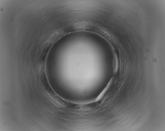 X0000075400601200609081257