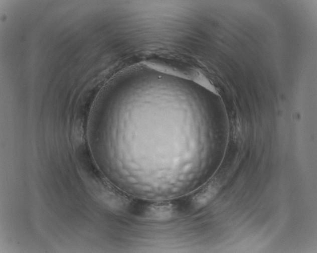 X0000075400606200609081257