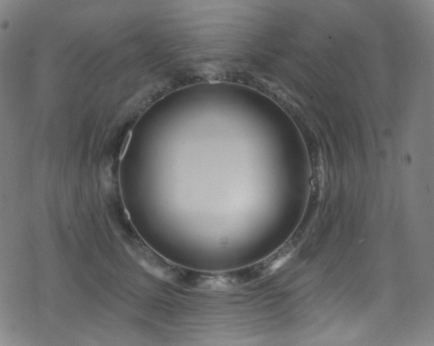 X0000075400611200609081257