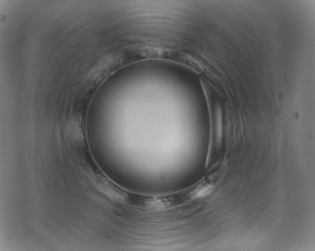 X0000075400616200609081257