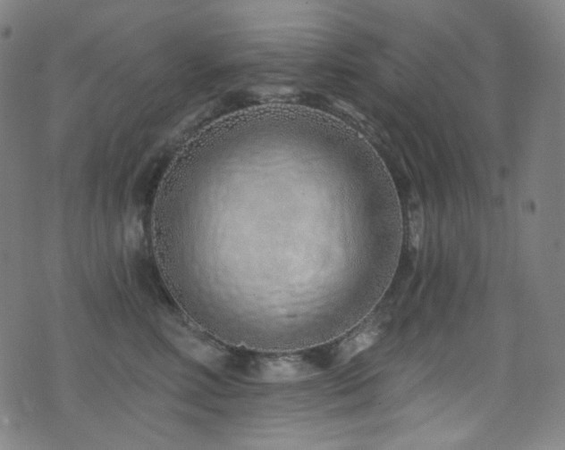 X0000075400618200609081257