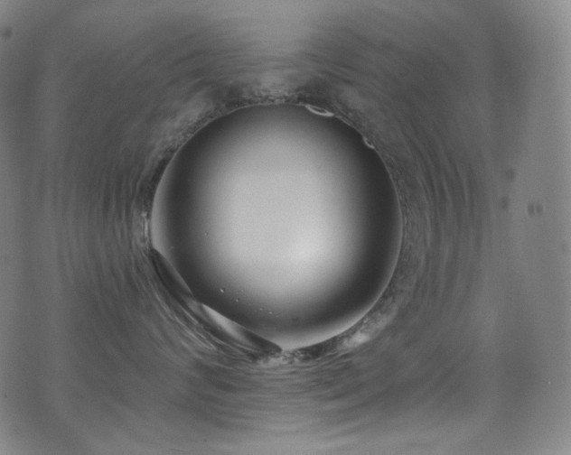 X0000075400624200609081256