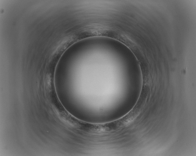 X0000075400646200609081256