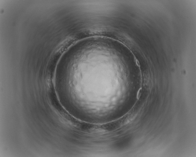 X0000075400648200609081256