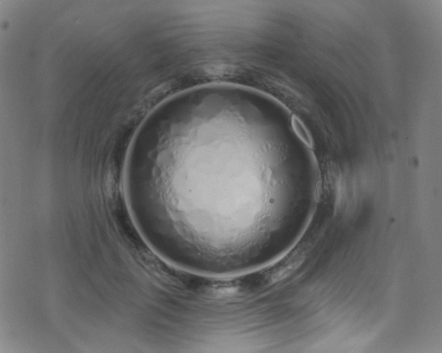 X0000075400651200609081256