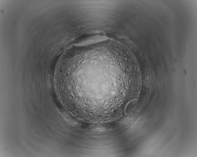 X0000075400658200609081256
