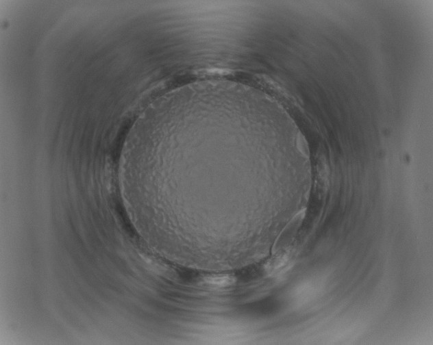 X0000075400659200609081256
