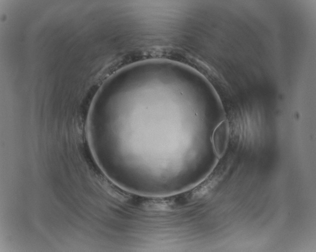 X0000075400661200609081256