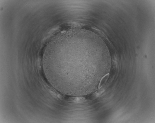 X0000075400663200609081256