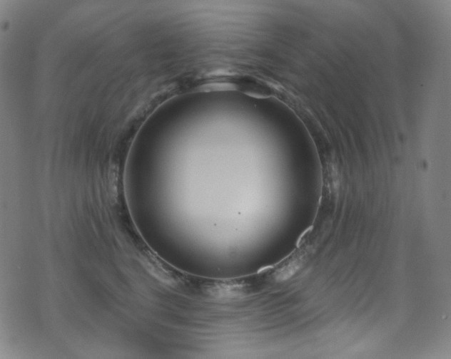 X0000075400664200609081256