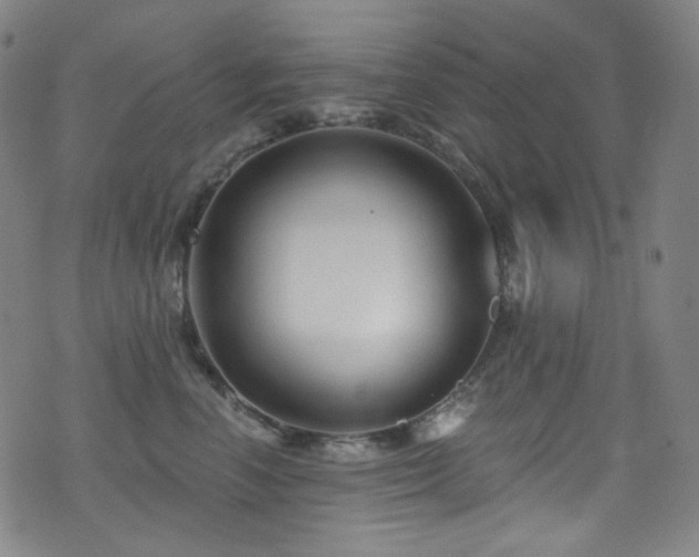 X0000075400666200609081256