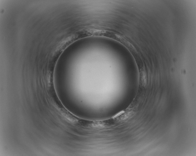 X0000075400668200609081256