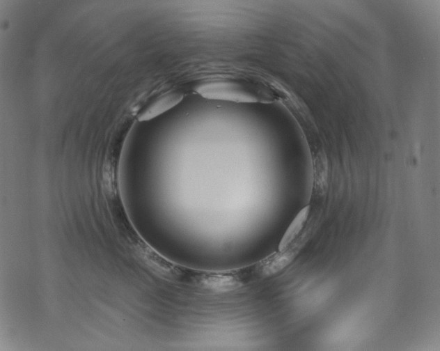 X0000075400669200609081256
