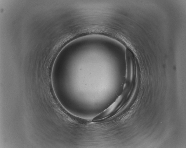 X0000075400673200609081256