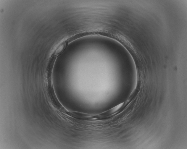X0000075400676200609081256