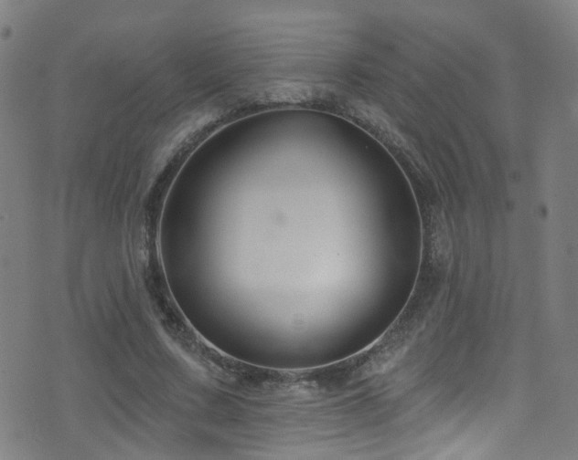 X0000075400683200609081256