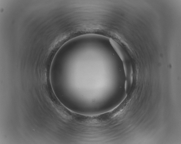 X0000075400685200609081256