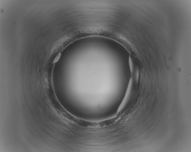 X0000075400688200609081255