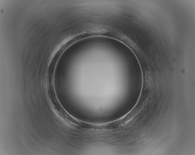 X0000075400726200609081254