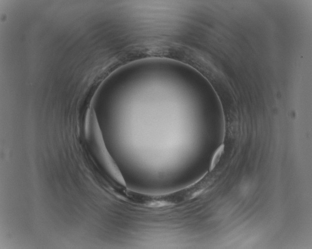 X0000075400748200609081255