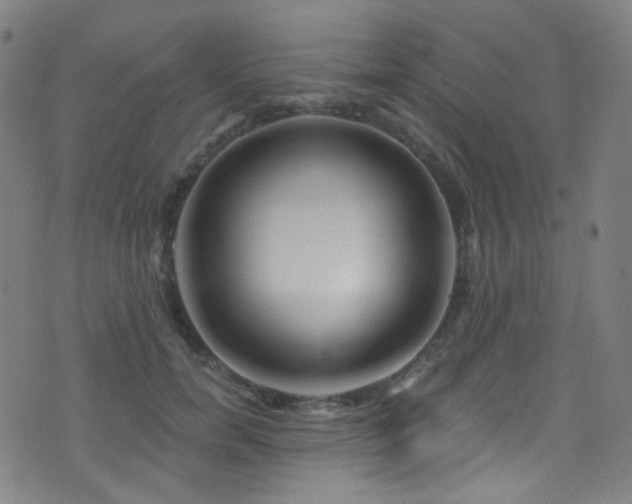 X0000075400750200609081255