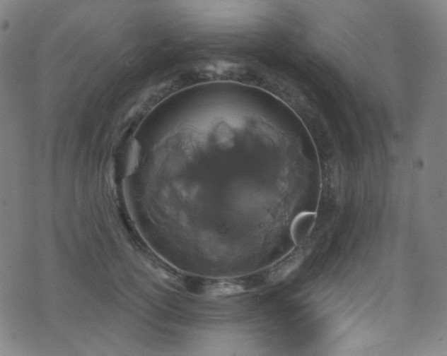 X0000075400754200609081255
