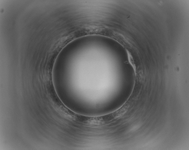 X0000075400756200609081255