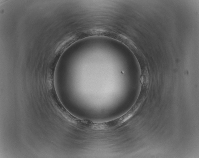 X0000075400762200609081255