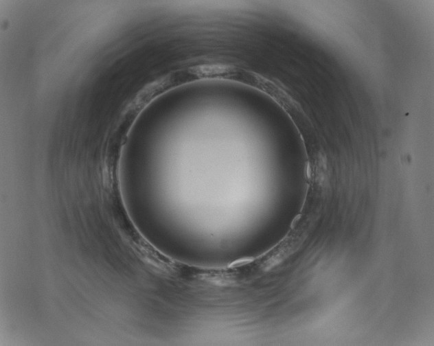 X0000075400763200609081255