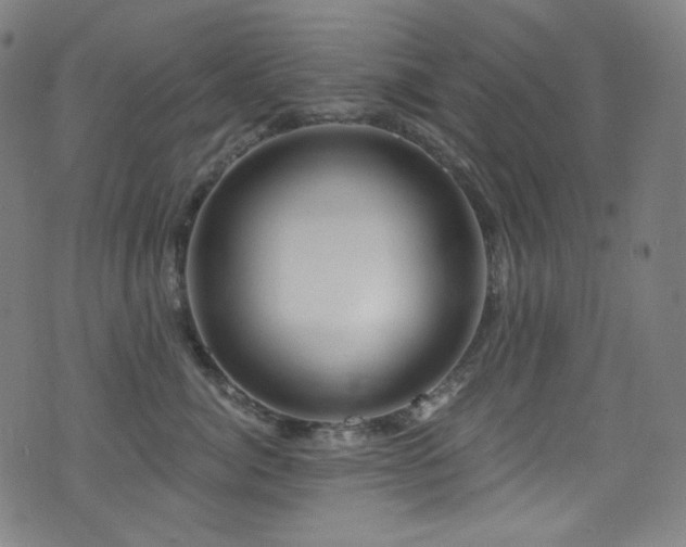 X0000075400764200609081255