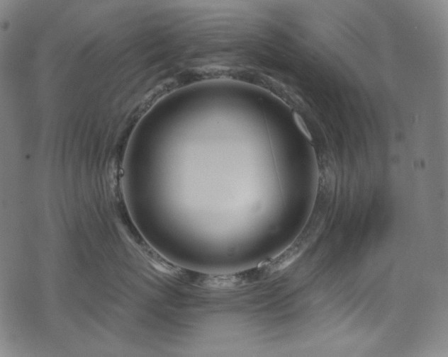 X0000075400767200609081255