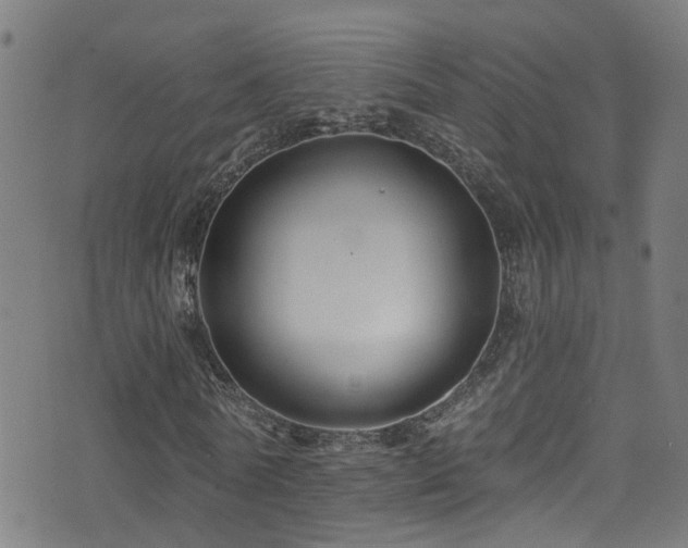 X0000075400770200609081254