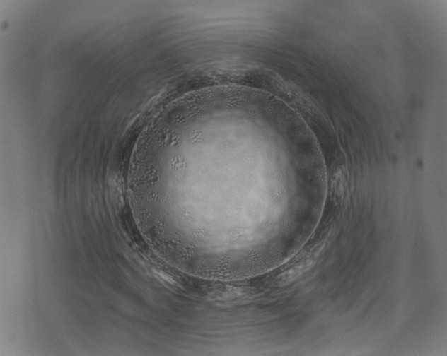 X0000075400772200609081254