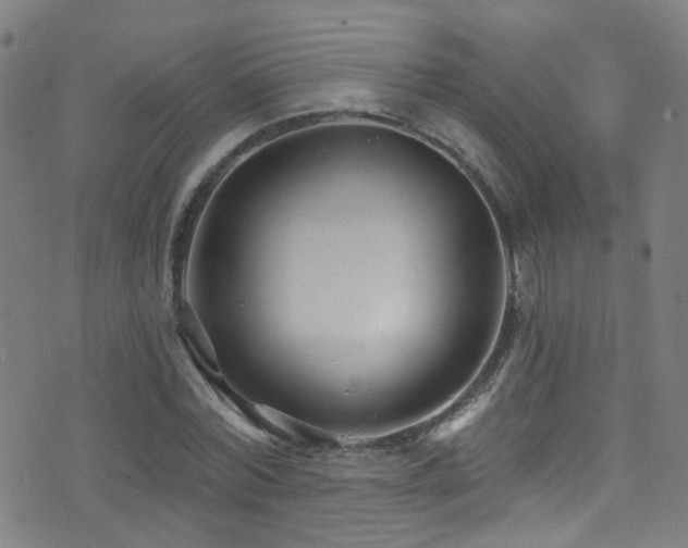 X0000075400780200609081254