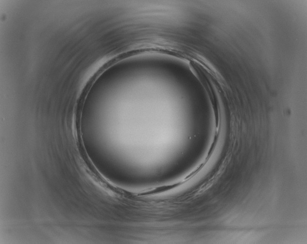 X0000075400788200609081254