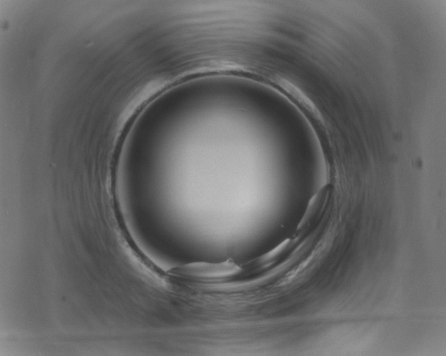 X0000075400797200609081254