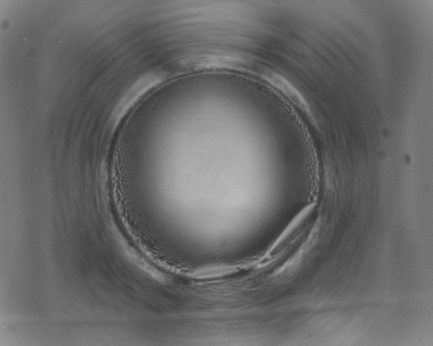 X0000075400798200609081254
