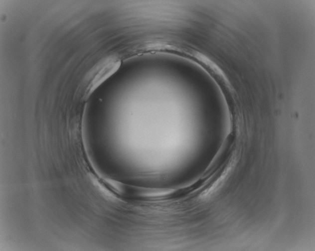 X0000075400801200609081254