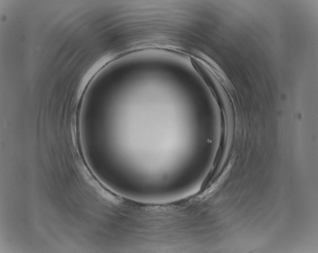 X0000075400812200609081253
