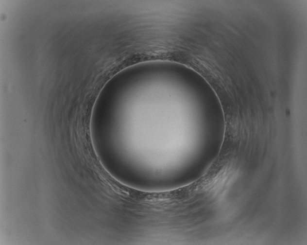X0000075400817200609081253