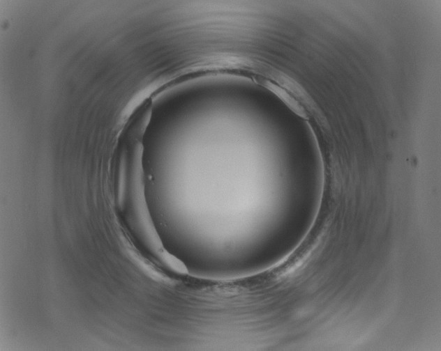 X0000075400842200609081253