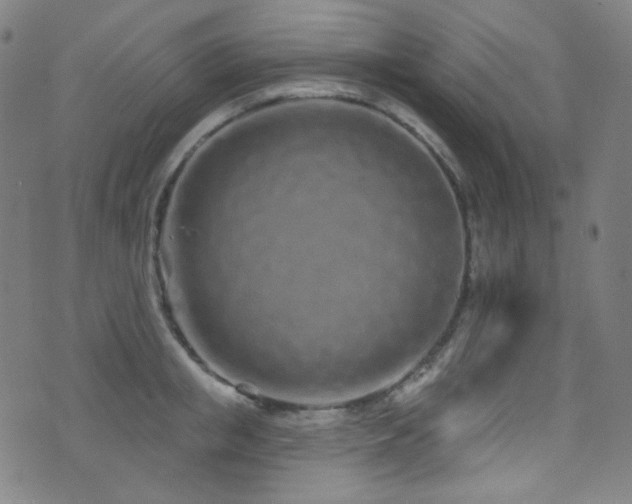 X0000075400853200609081253