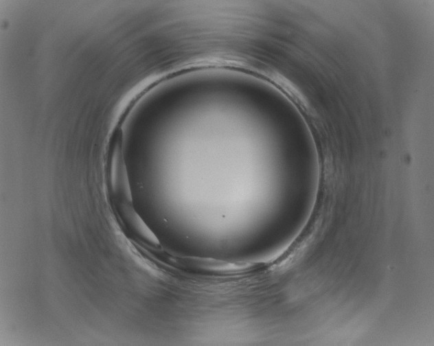 X0000075400854200609081253