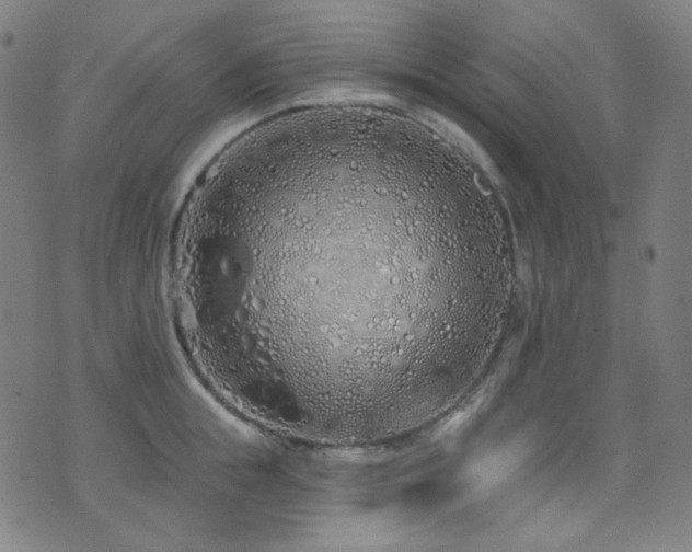X0000075400855200609081253