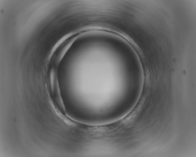X0000075400862200609081253