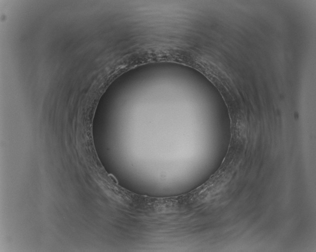 X0000075400865200609081253