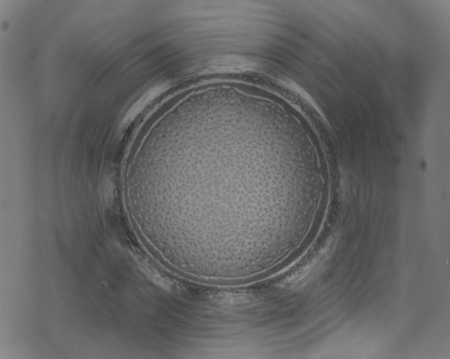 X0000075400874200609081252