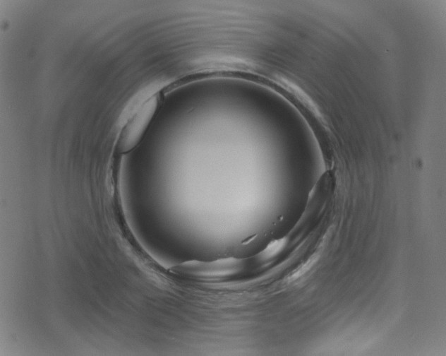 X0000075400885200609081252