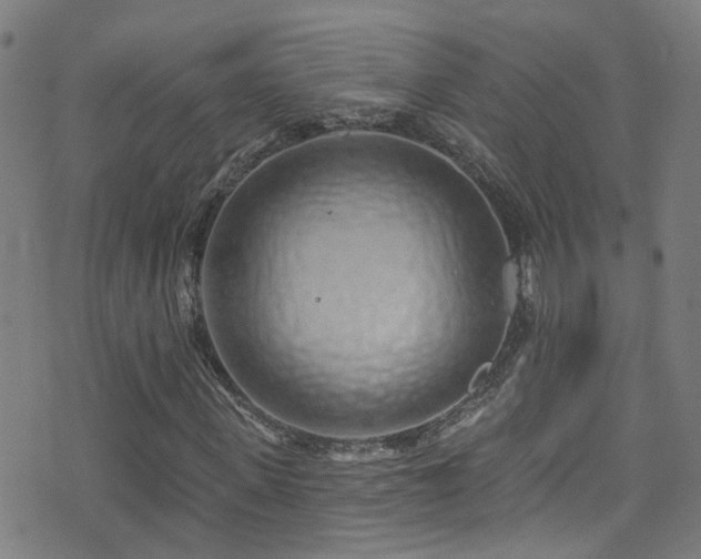 X0000075400915200609081251