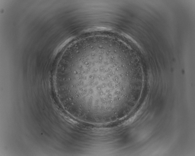 X0000075400921200609081251